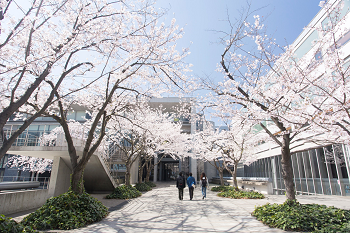 東京都市大学